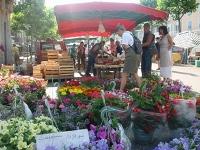 marche-lamastre-4.jpg